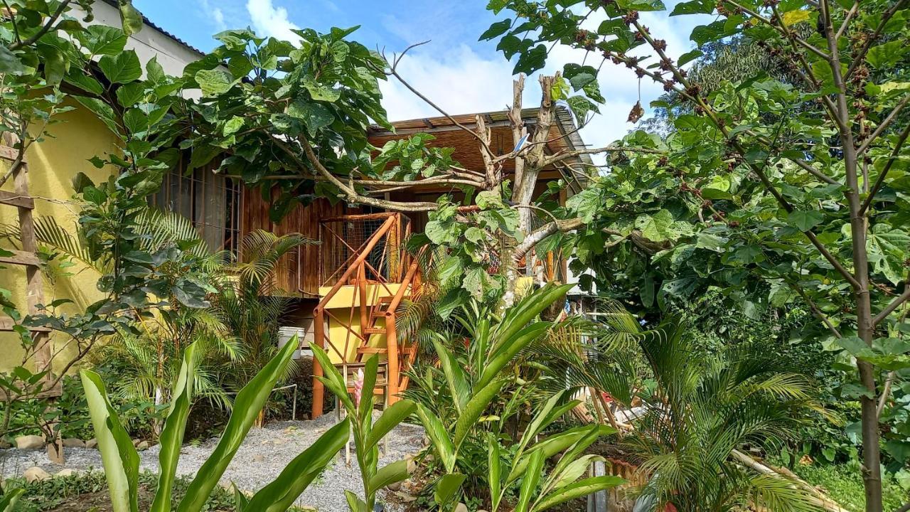 Cacao Lodge And Tours La Fortuna Esterno foto